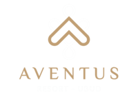 Aventus Resort Ubud